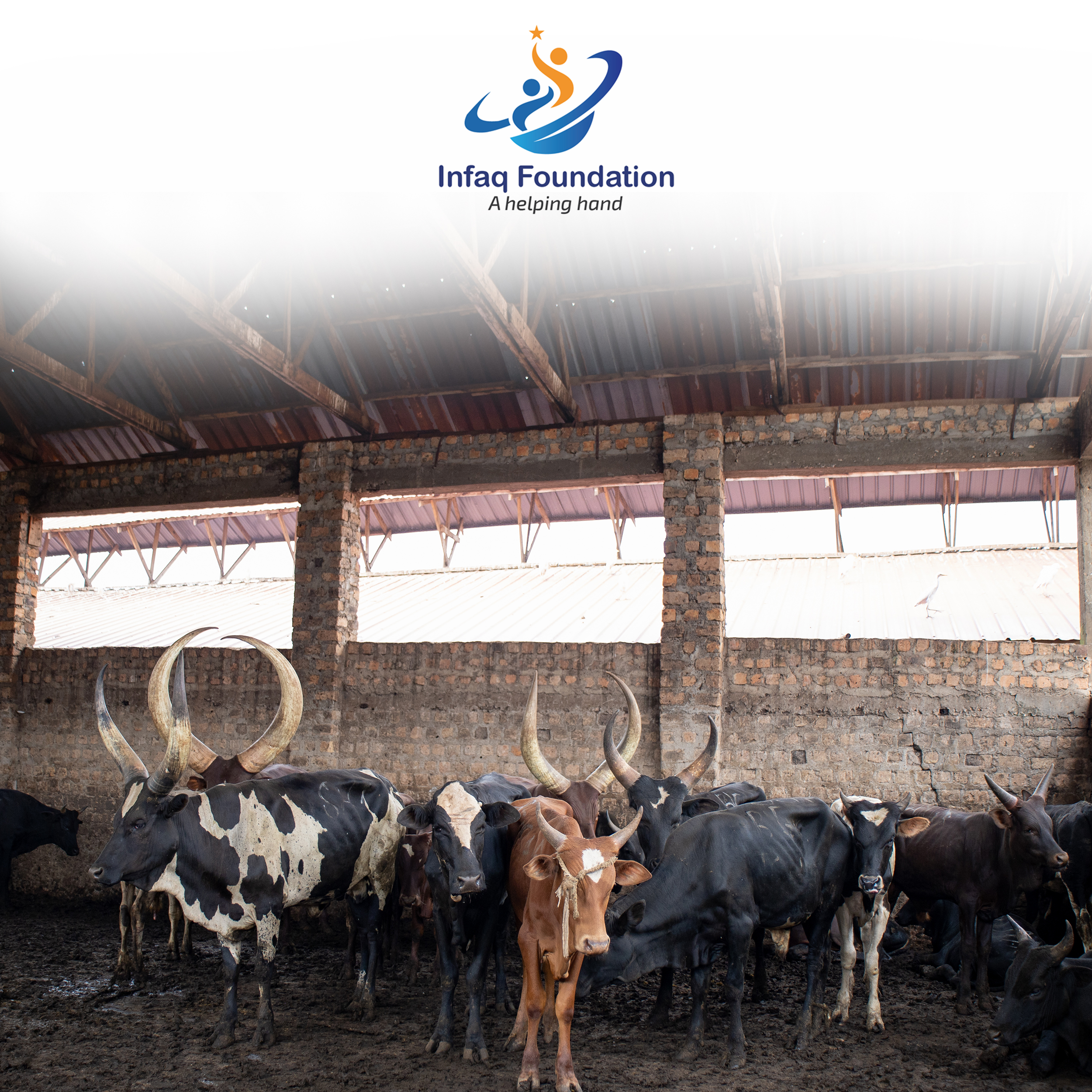 Infaq Foundation project photo: QB 3